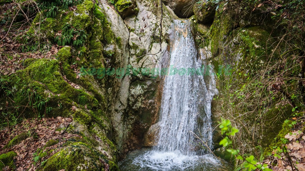 Grotte di Maurizio Gambassi Terme