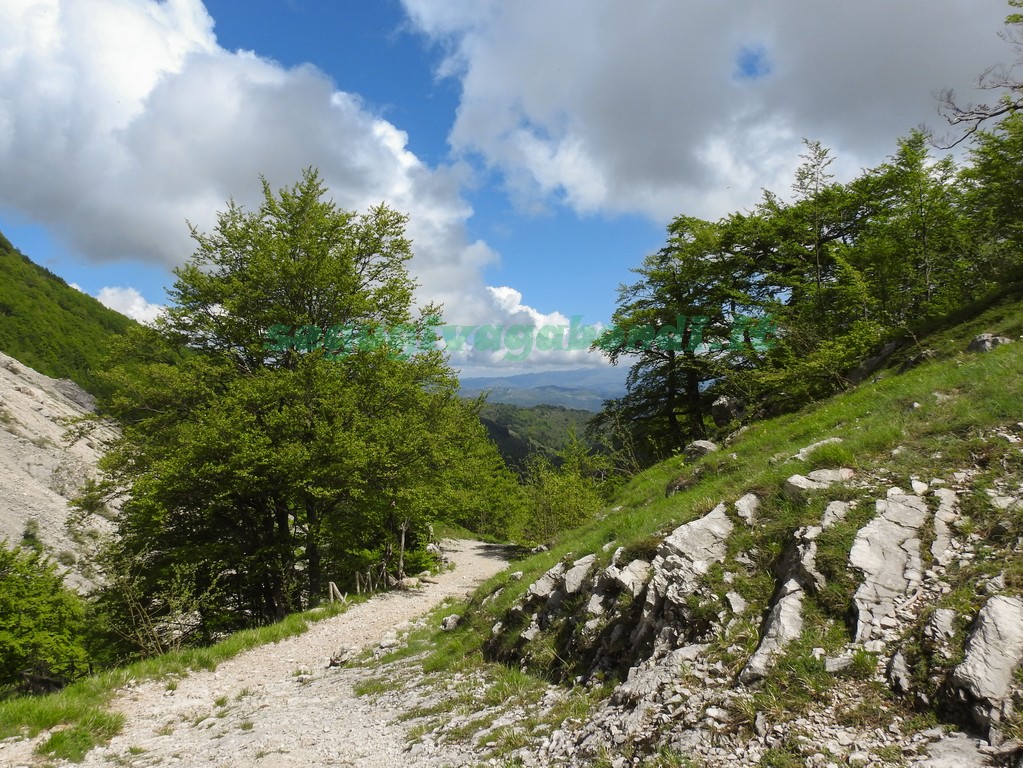 Prati di Tivo Cascate del Rio Arno