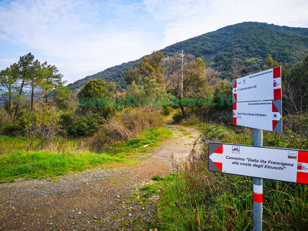 Riserva naturale di Montenero