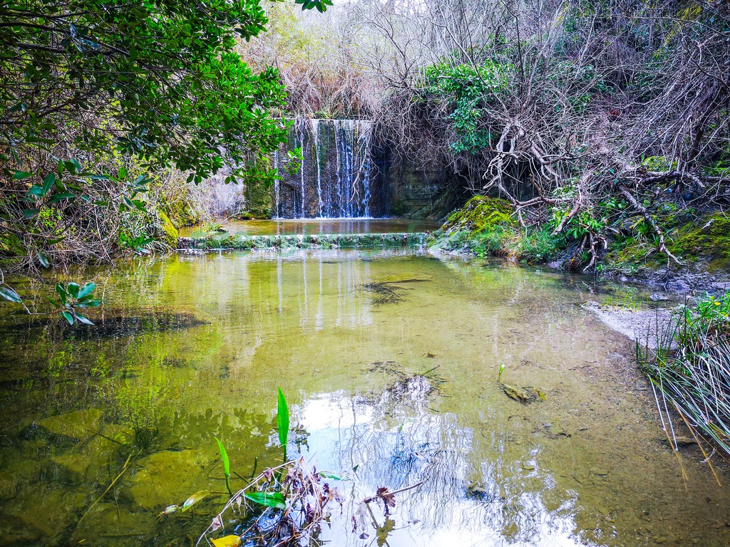 Riserva naturale di Montenero