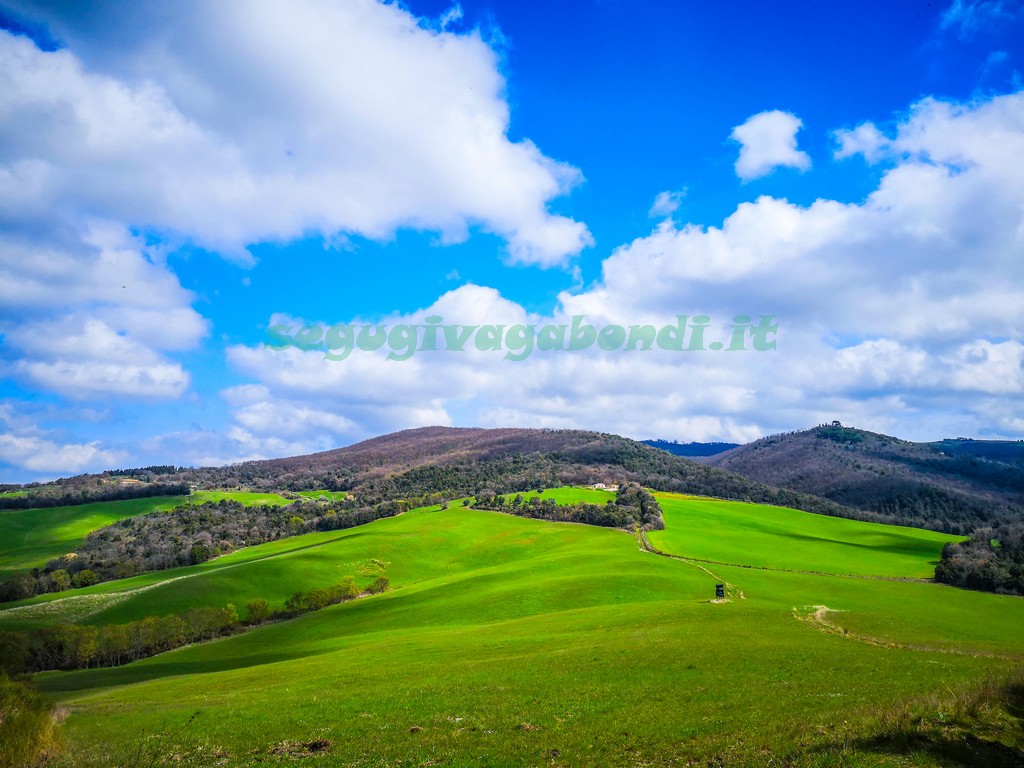 Riserva naturale di Montenero