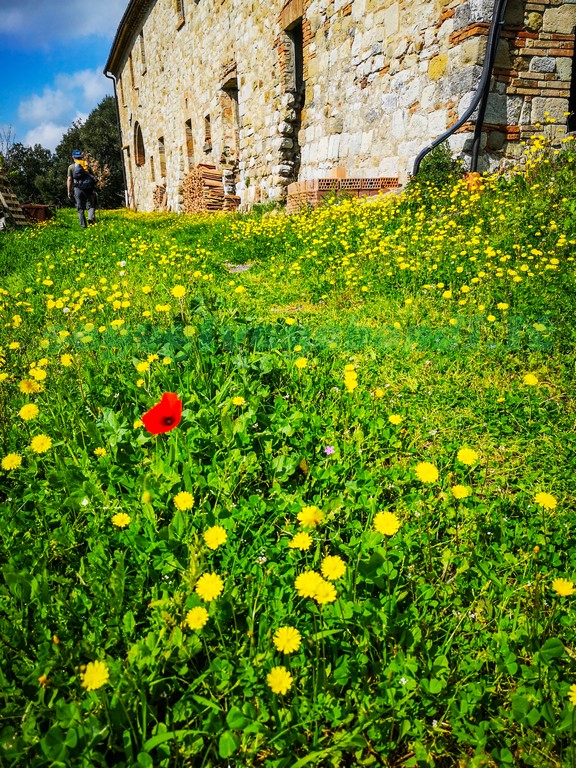 Riserva naturale di Montenero