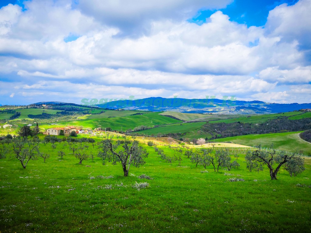 Riserva naturale di Montenero