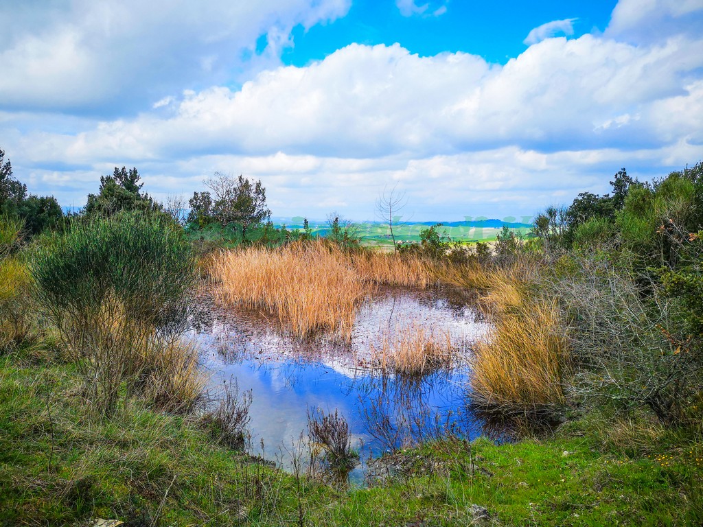 Riserva naturale di Montenero