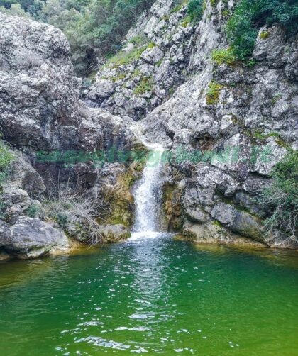 Riserva naturale di Montenero