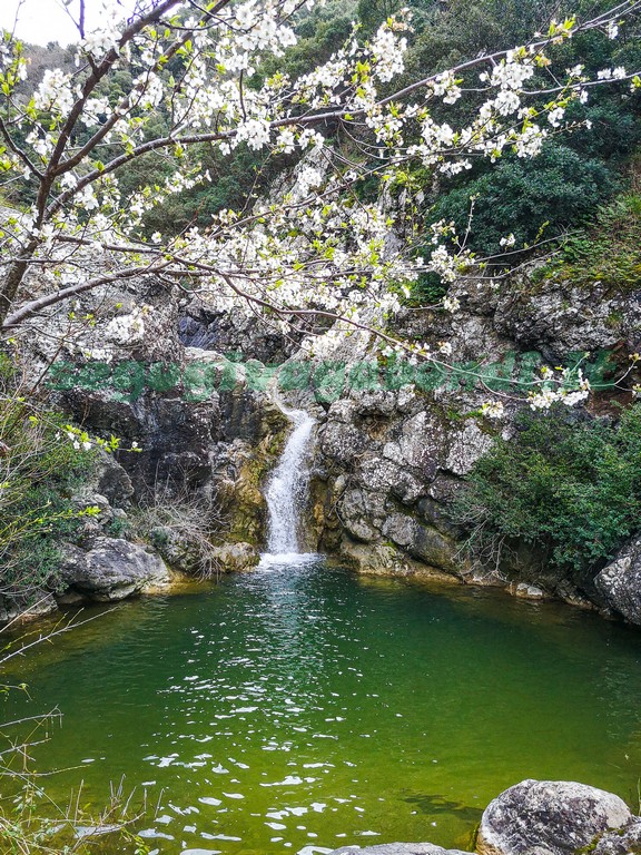 Cascate dello Strolla