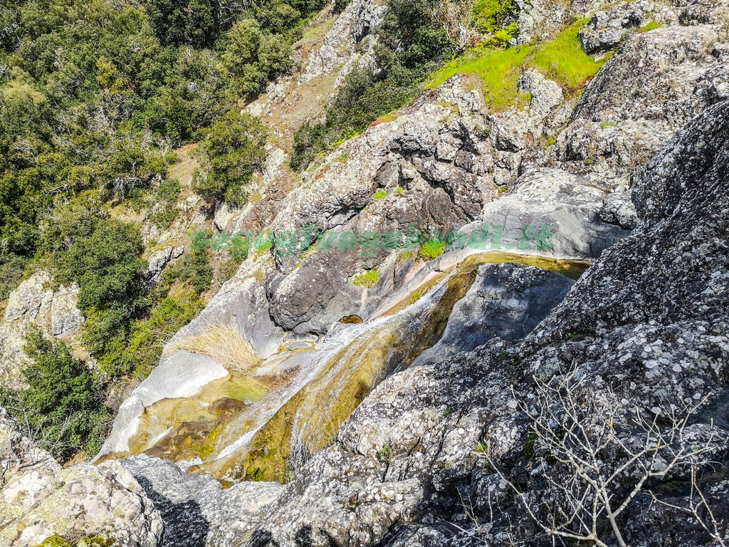 Riserva naturale di Montenero