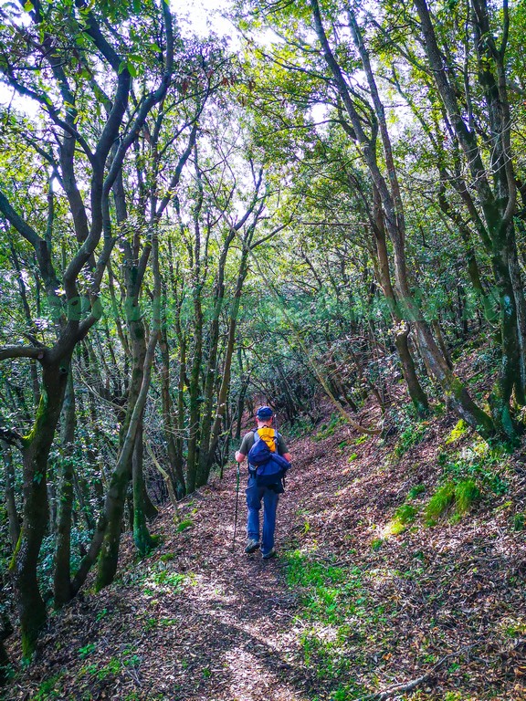 Riserva naturale di Montenero