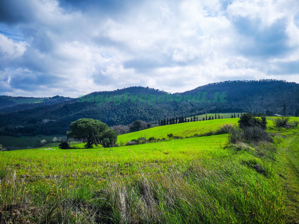 Riserva naturale di Montenero