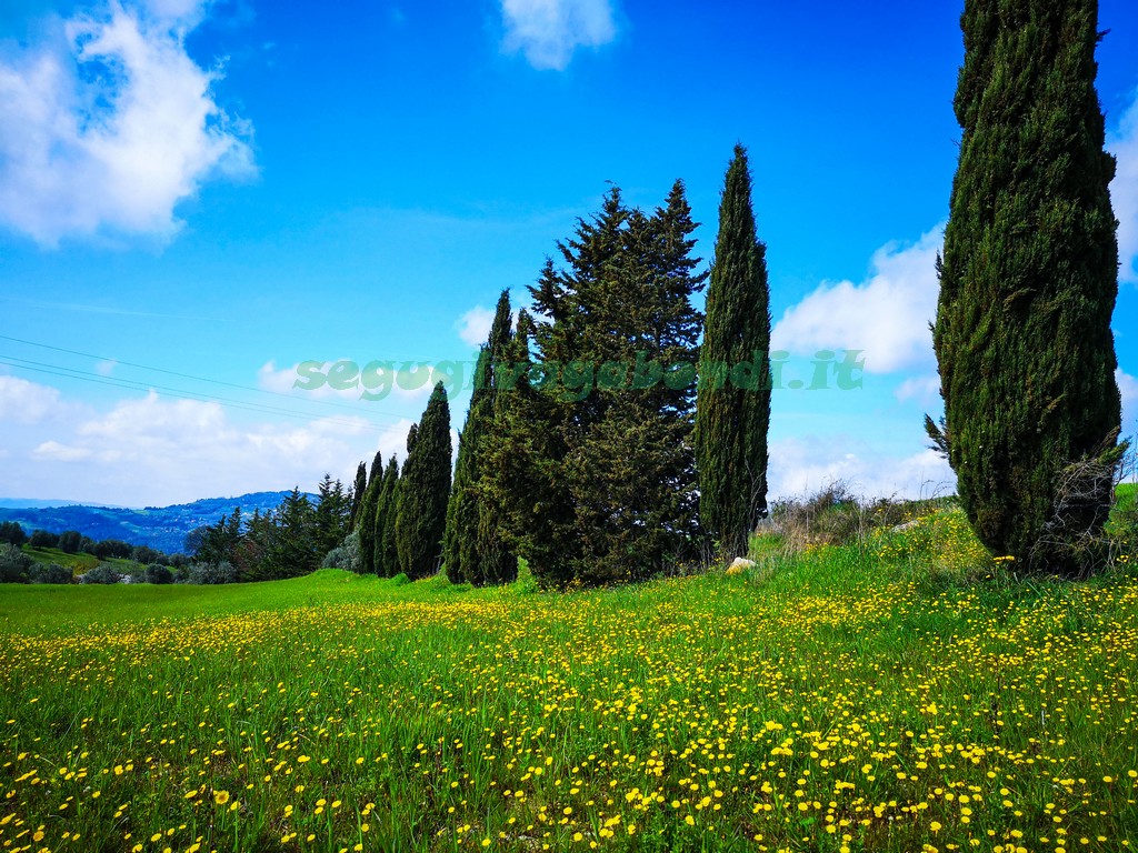 Riserva naturale di Montenero