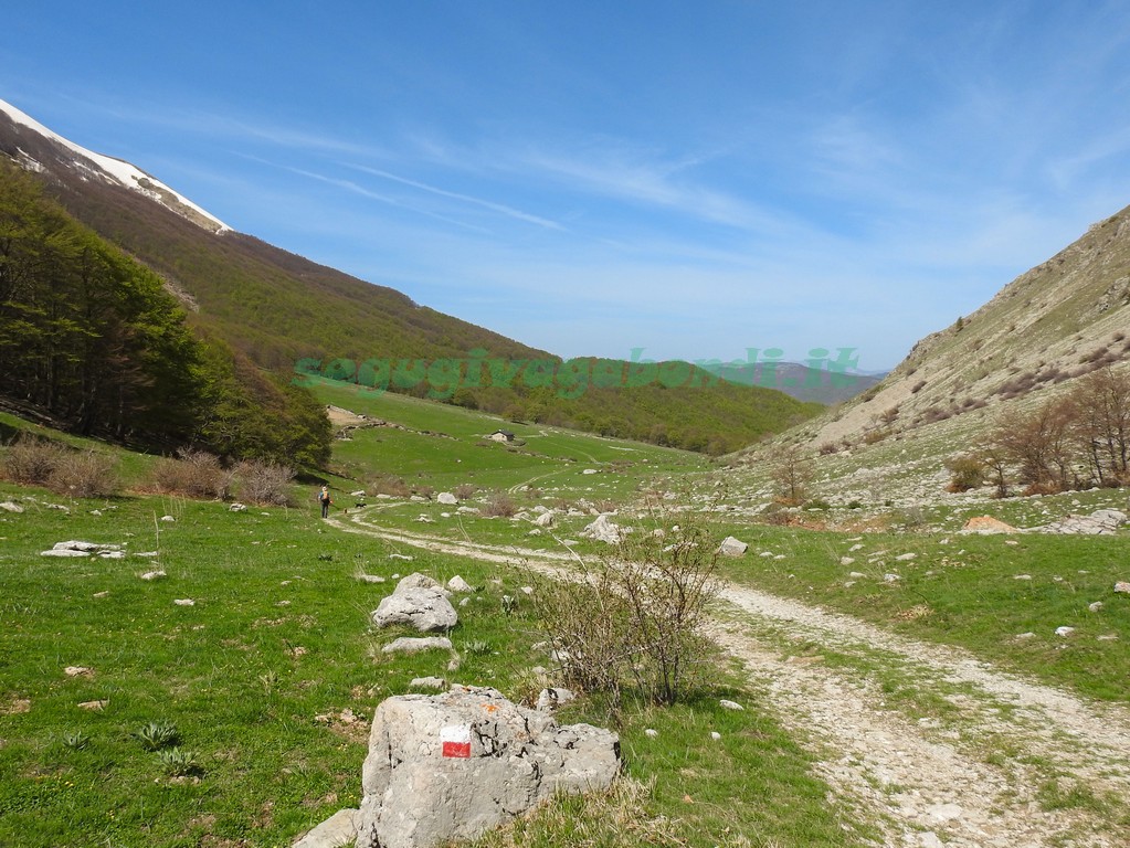 Valle del Chiarino