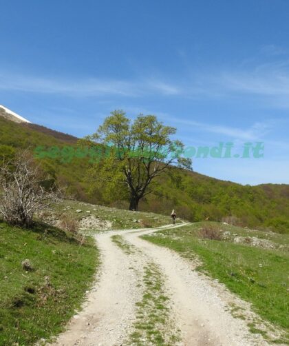 Valle del Chiarino Trekking in Abruzzo