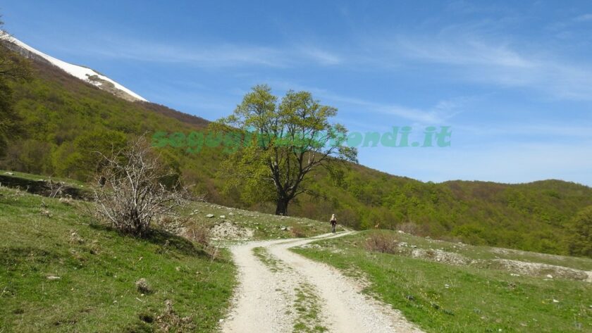 Valle del Chiarino Trekking in Abruzzo