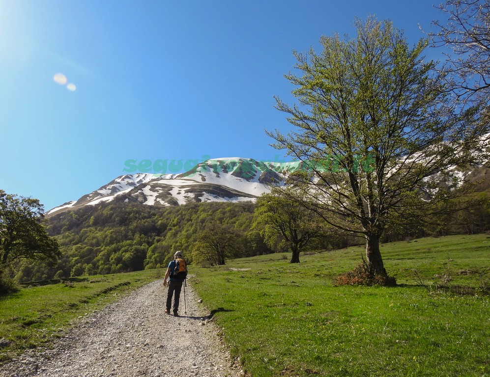 Valle del Chiarino Trekking in Abruzzo Stazzo di Solagne