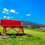 Big Bench Preci Roccanolfi